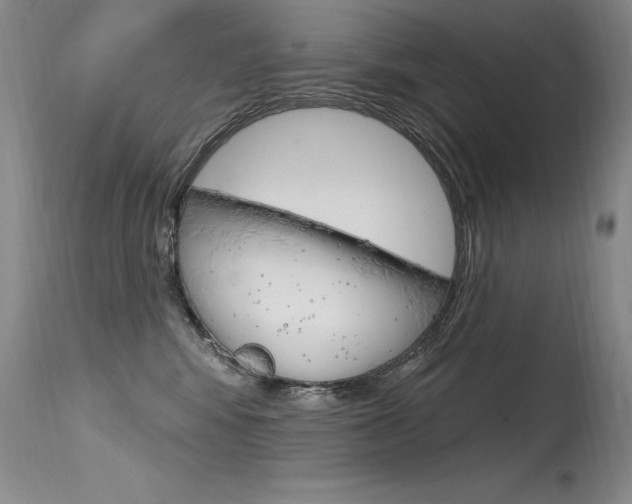 X0000115730424200911121129