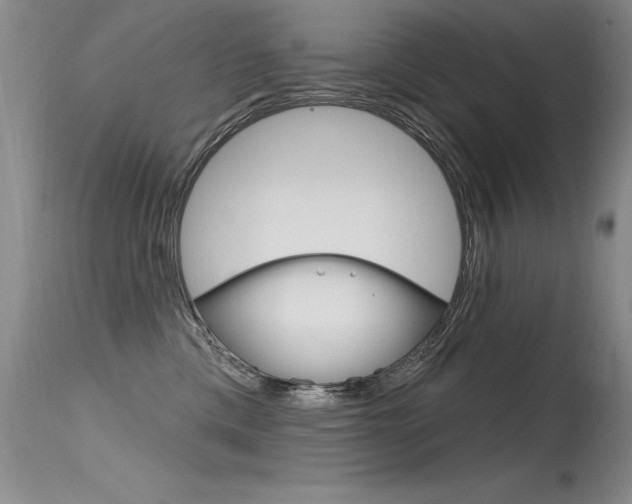 X0000115730425200911121129
