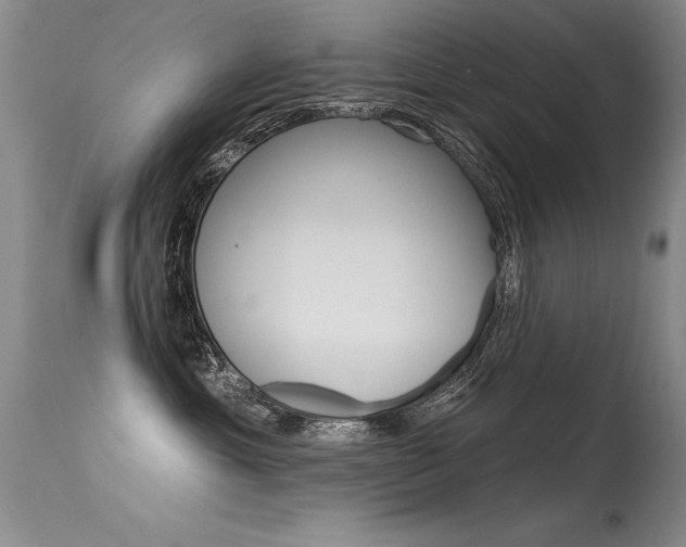 X0000115730429200911121129