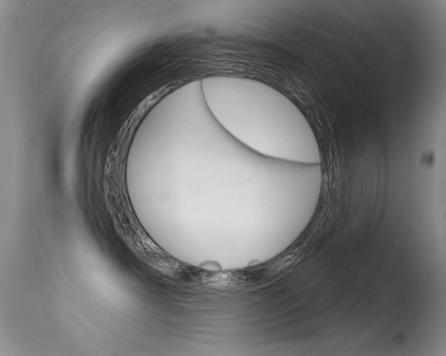 X0000115730430200911121129
