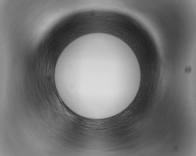 X0000115730431200911121129