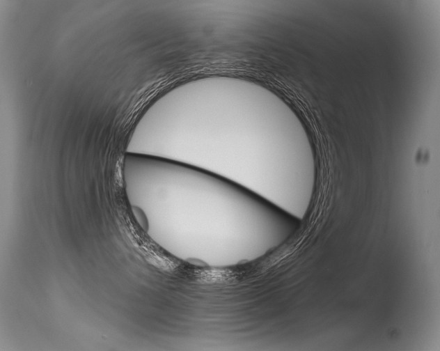 X0000115730432200911121129