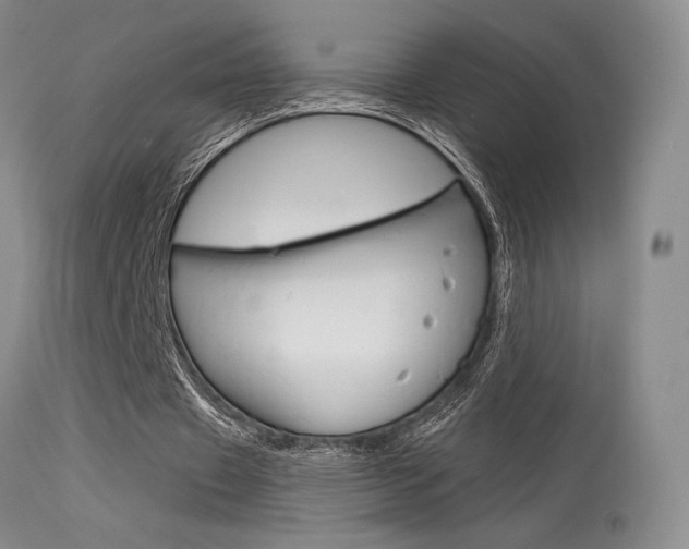 X0000115730433200911121129