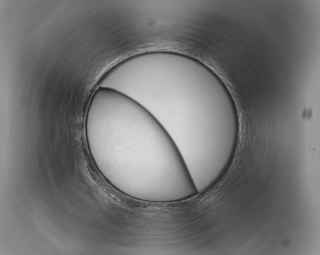 X0000115730434200911121129