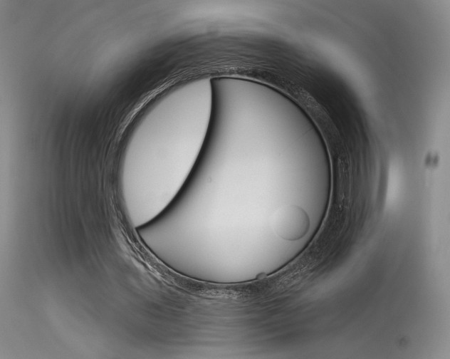 X0000115730435200911121129
