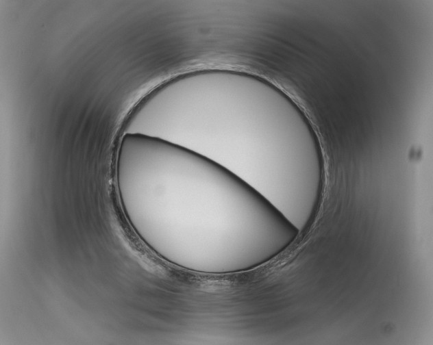 X0000115730438200911121129