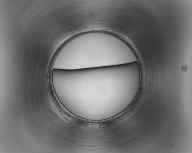 X0000115730439200911121129
