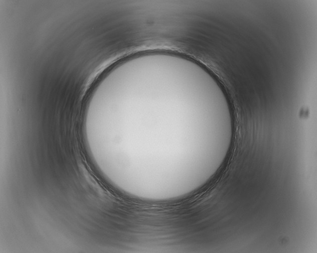 X0000115730440200911121129