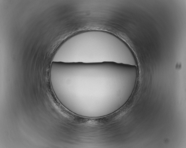 X0000115730441200911121129