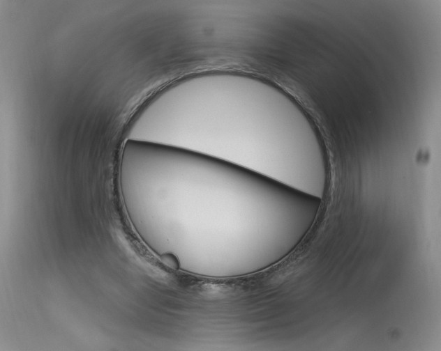 X0000115730442200911121129