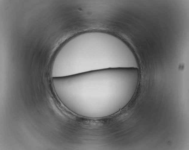 X0000115730443200911121129