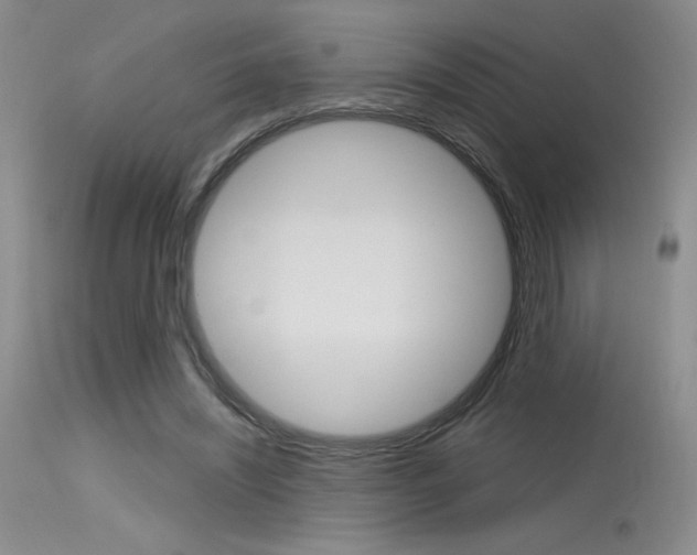X0000115730444200911121129