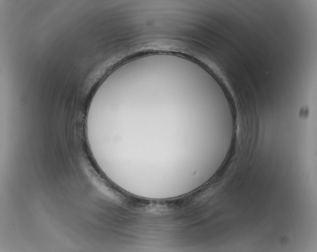 X0000115730445200911121129