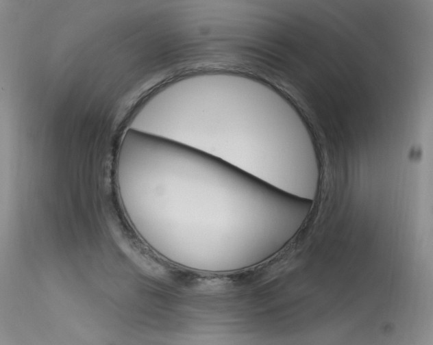 X0000115730446200911121129