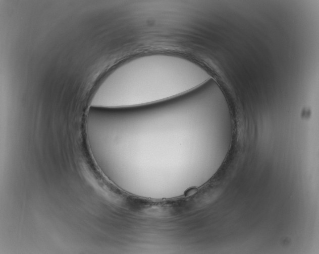 X0000115730447200911121129