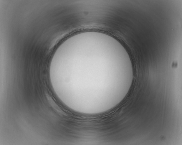 X0000115730448200911121129