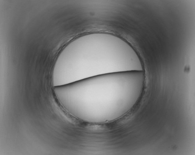 X0000115730449200911121129