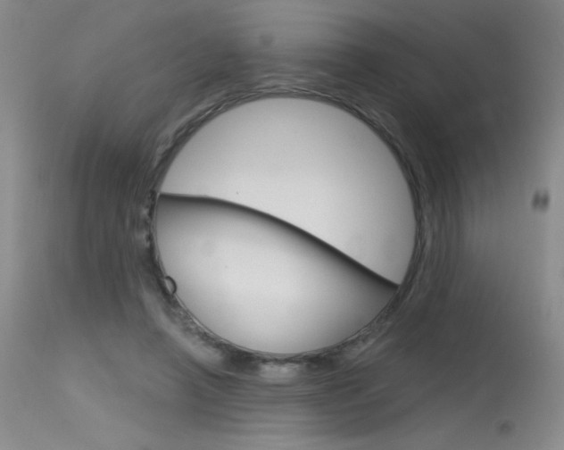 X0000115730450200911121129