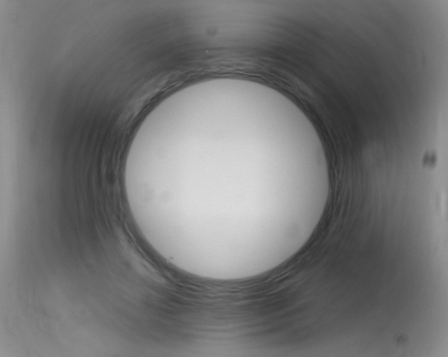 X0000115730452200911121129