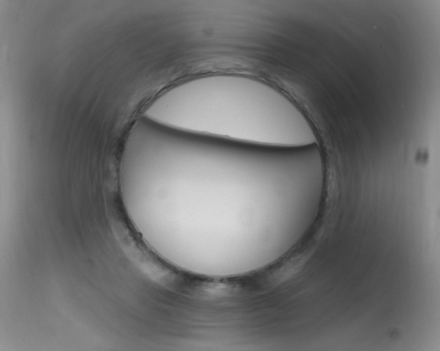 X0000115730453200911121129