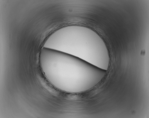 X0000115730454200911121129