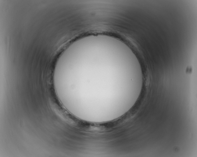 X0000115730455200911121129