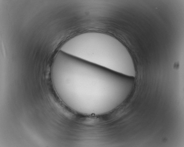 X0000115730458200911121129