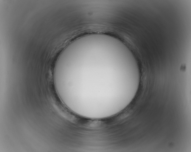 X0000115730459200911121129