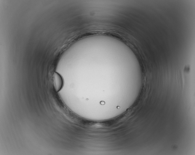 X0000115730460200911121129