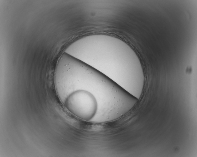 X0000115730462200911121129