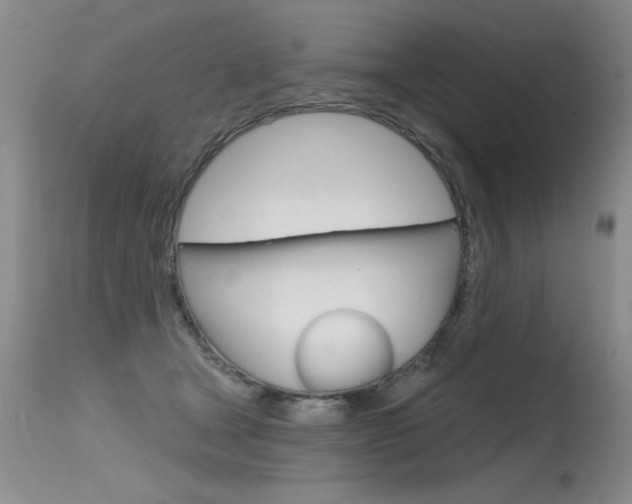 X0000115730465200911121129