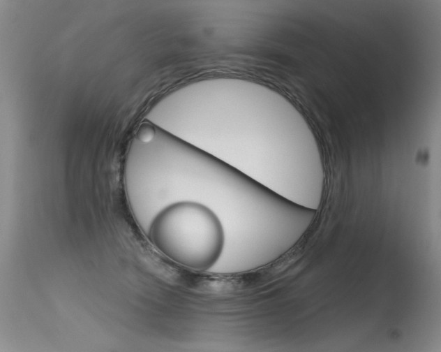 X0000115730466200911121129
