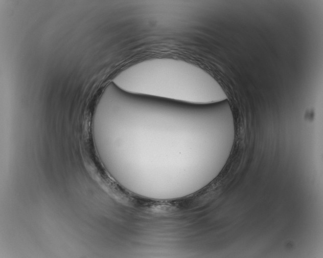 X0000115730468200911121129