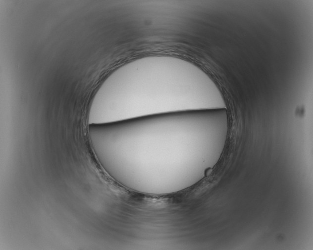 X0000115730469200911121129