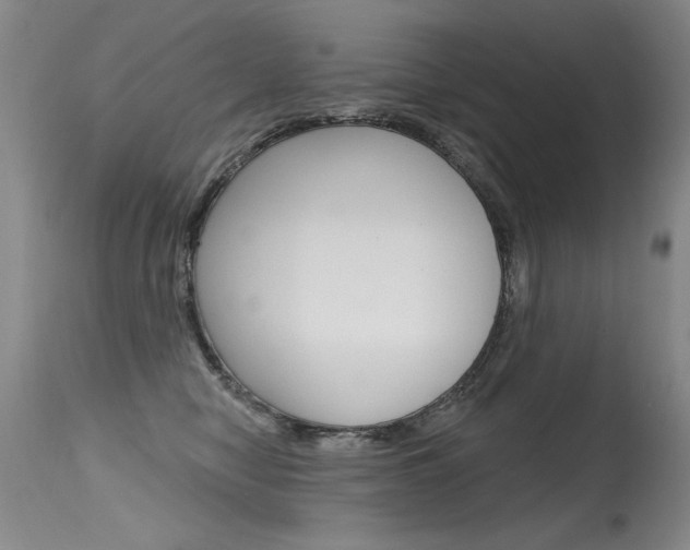 X0000115730470200911121129