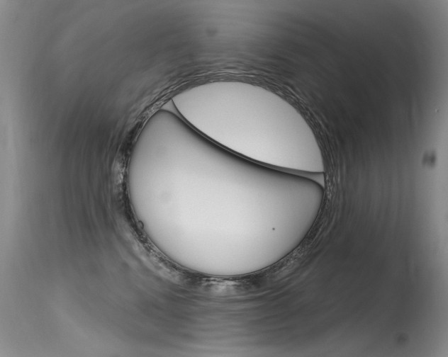 X0000115730472200911121129