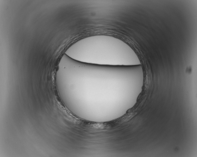 X0000115730473200911121129
