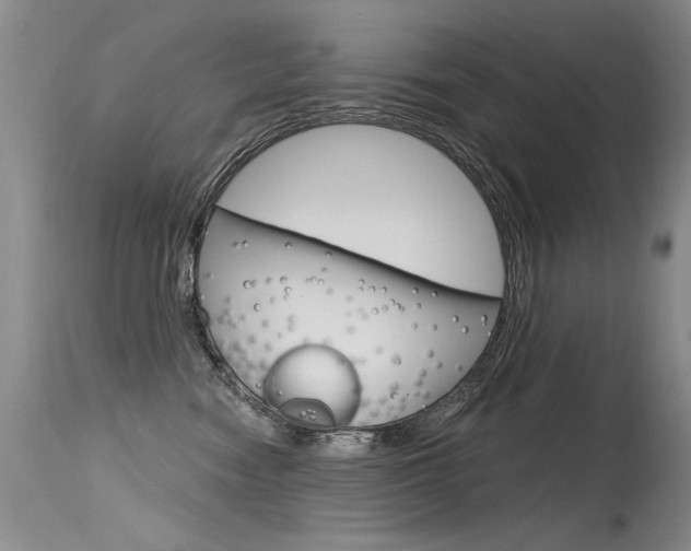 X0000115730474200911121129