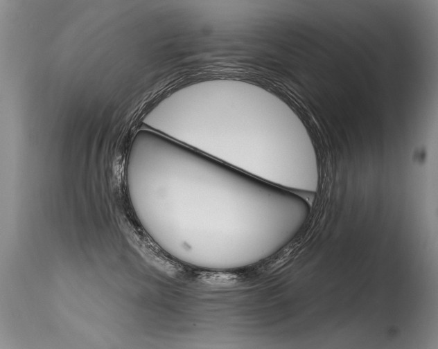X0000115730476200911121129