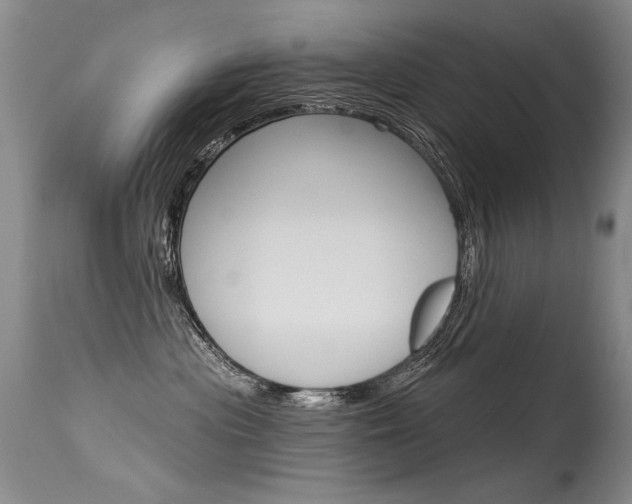 X0000115730477200911121129