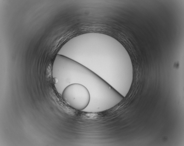 X0000115730478200911121129