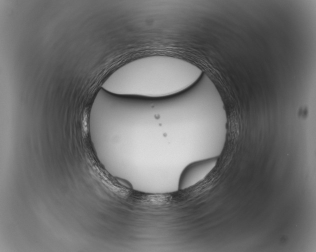 X0000115730479200911121129