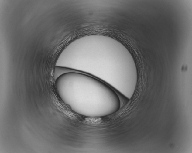 X0000115730480200911121129