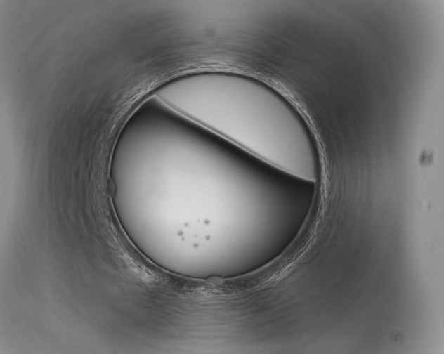 X0000115730481200911121129