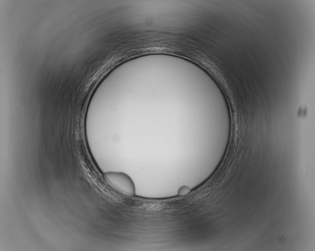 X0000115730482200911121129