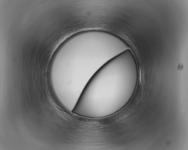 X0000115730483200911121129
