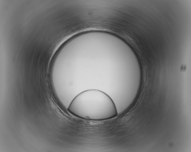 X0000115730484200911121129