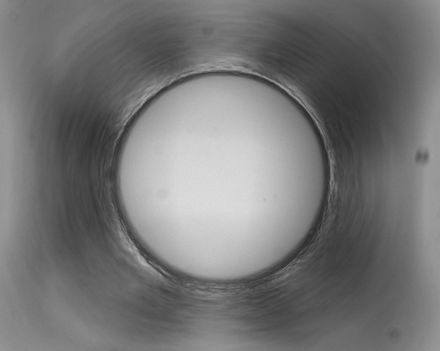 X0000115730485200911121129