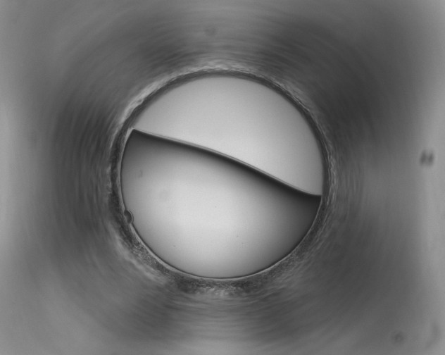 X0000115730488200911121129