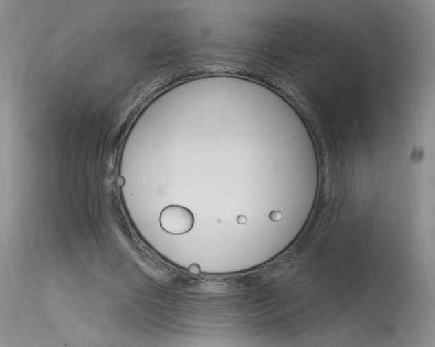 X0000115730490200911121129